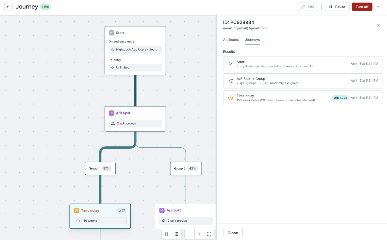 Viewing an individual member's path through a journey