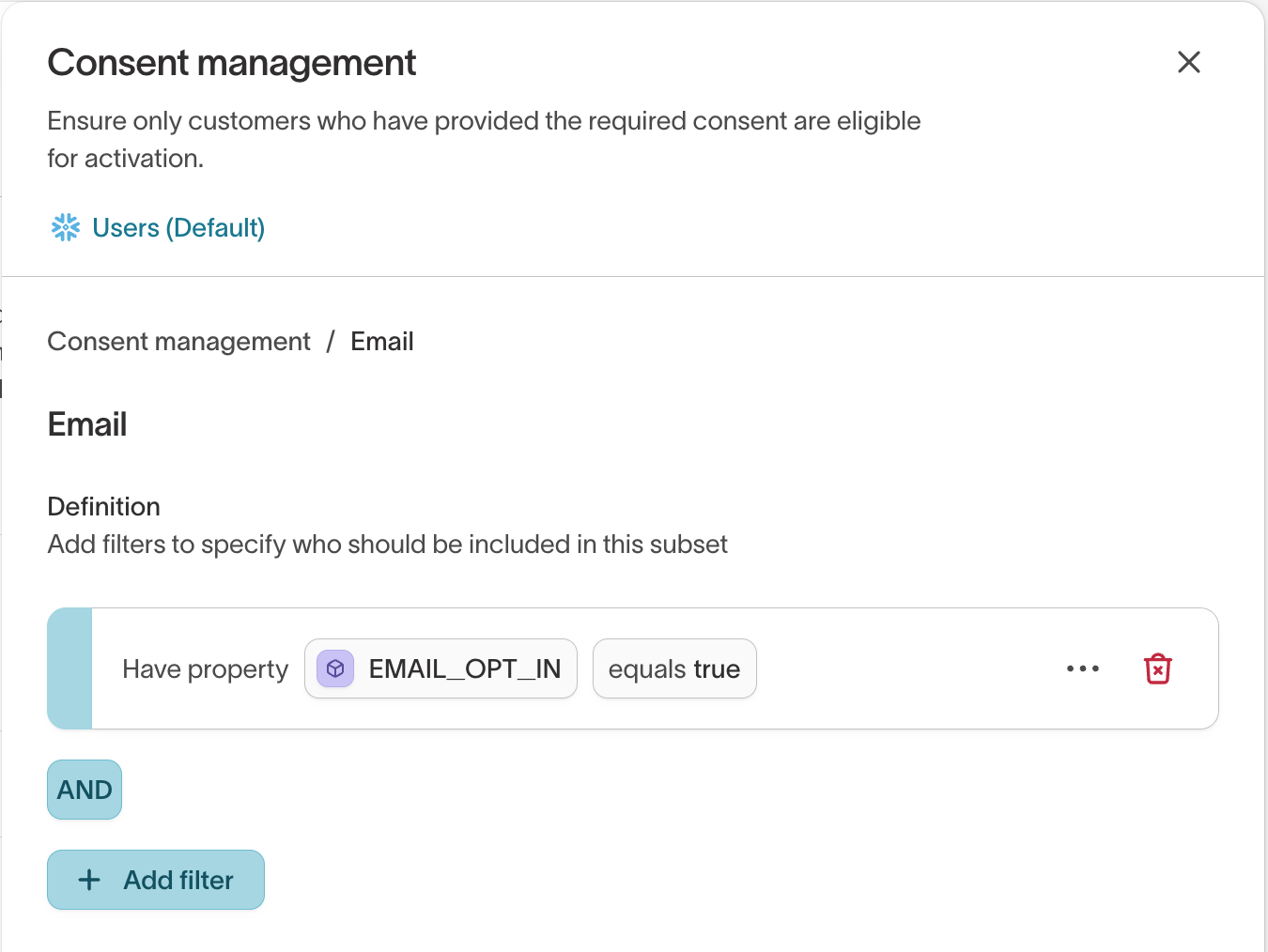 Subset definition filtering on a consent field